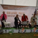 piest4 34